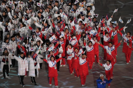 Défilé commun des délégations des deux Corées, 25 février 2018, Pyeongchang - Loïc Venance - AFP