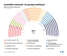 groupes politiques de l'Assemblée nationale